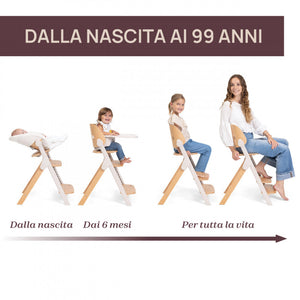 Sedia Evolutiva Chicco Meraviglia Fossil - 13