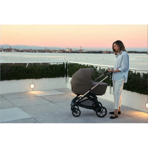 Trio Inglesina System Quattro Aptica Darwin Infant Ivy Green - 8